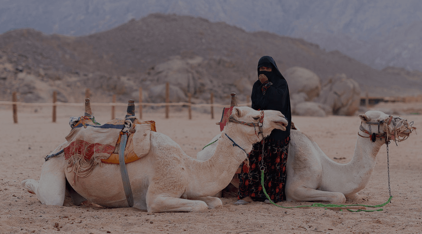 تنمية المجتمعات البدوية