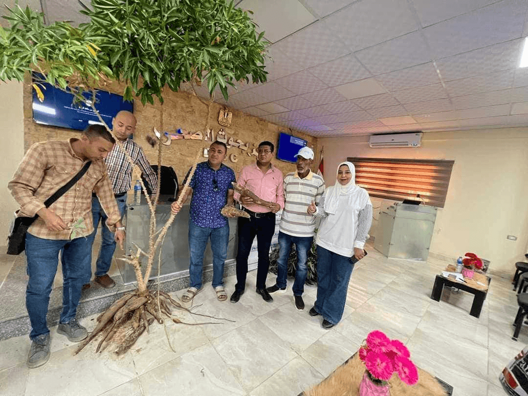 المؤتمر السابق