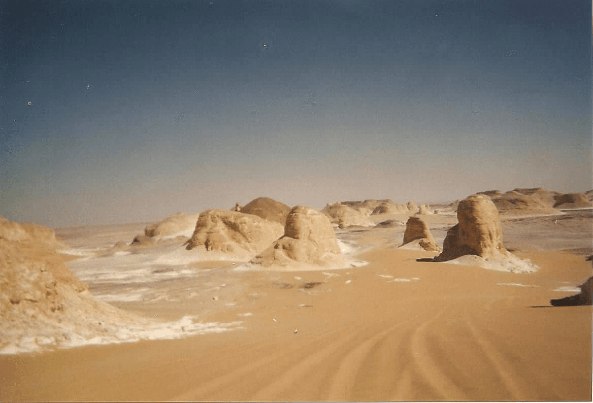 محطة بحوث مريوط
